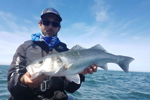 Quale attrezzatura scegliere per iniziare con successo la stagione di caccia alla spigola?