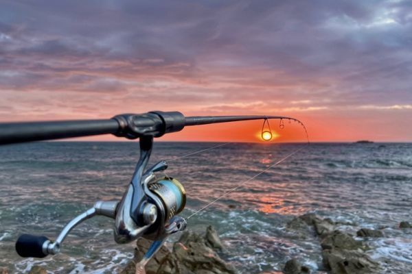 I coefficienti di marea sono fondamentali per il successo delle battute di pesca in mare.