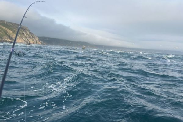 Le condizioni di vento sono ideali per la pesca alla spigola!