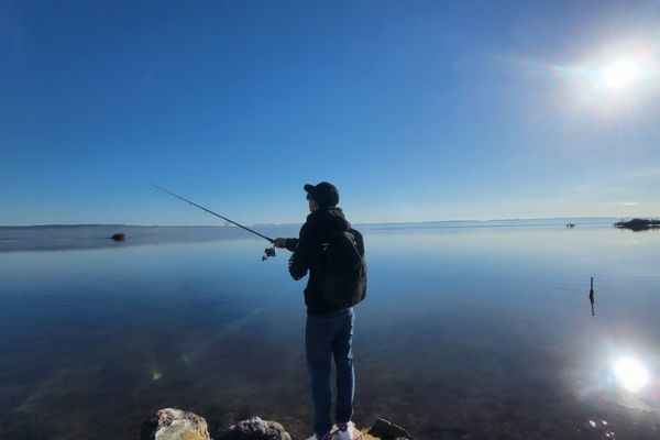 Pesca del pesce lupo negli stagni