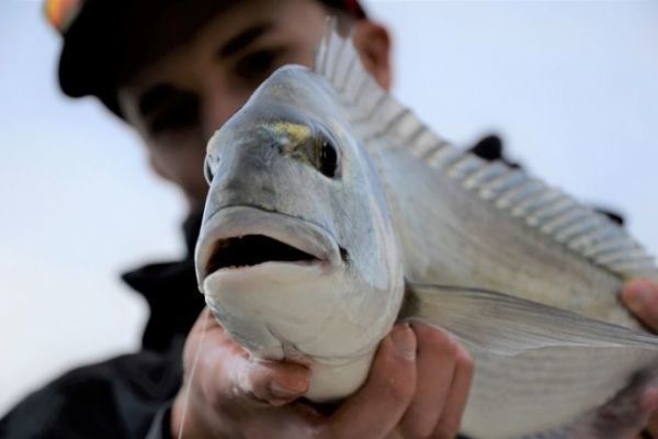 Pesca con l'esca dalla spiaggia