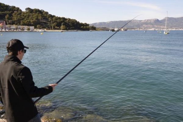 Esche per la pesca da riva