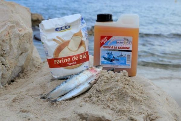 Quale primer per quale specie?