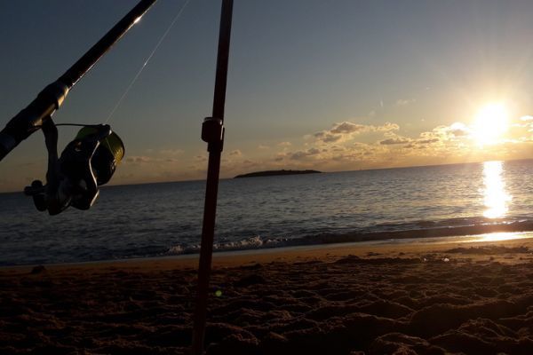 Pesca a surfcasting