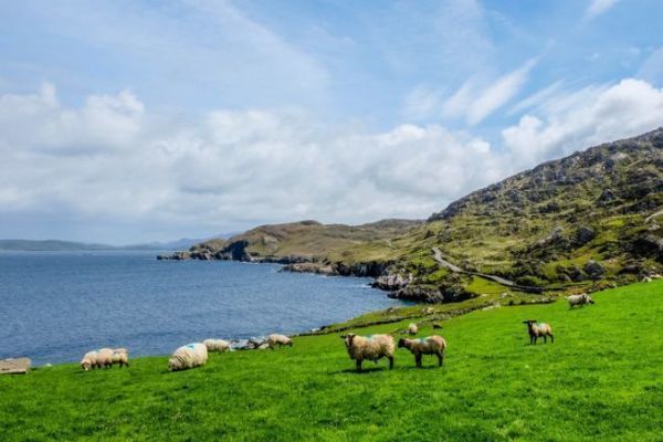 L'Irlanda  una destinazione da sogno per gli appassionati di pesca