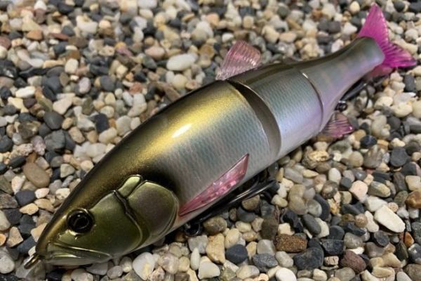 La taglia 180 era molto attesa!