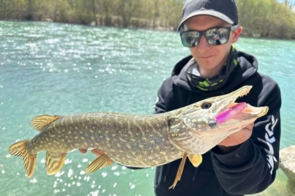 Pesca al luccio