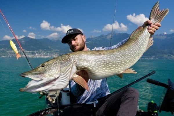 Pesca di grossi lucci con un'esca da natante Balam