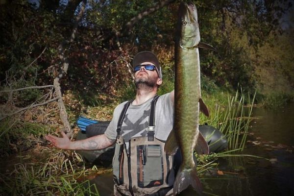 Muskellunge, uno dei pi grandi pesci d'acqua dolce del Quebec.