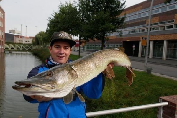 Pesca al luccio nei polder