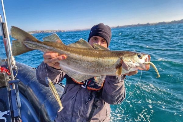 Il teaser  una risorsa formidabile per la pesca del merluzzo.