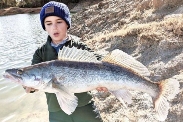 Pesca al luccioperca da riva