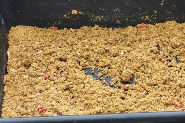 Pesca con esche in acqua dolce