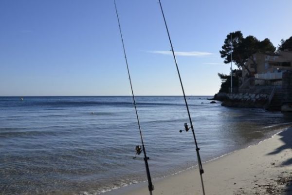 L'estate  una buona stagione per il surfcasting