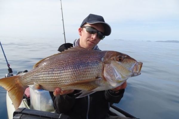 Pesca del dentice con il calamaro