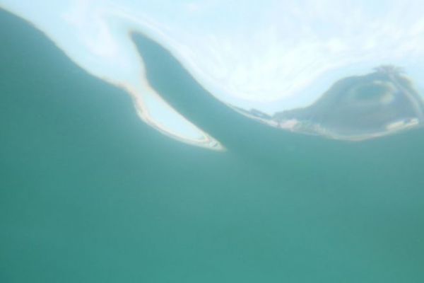 Snorkeling