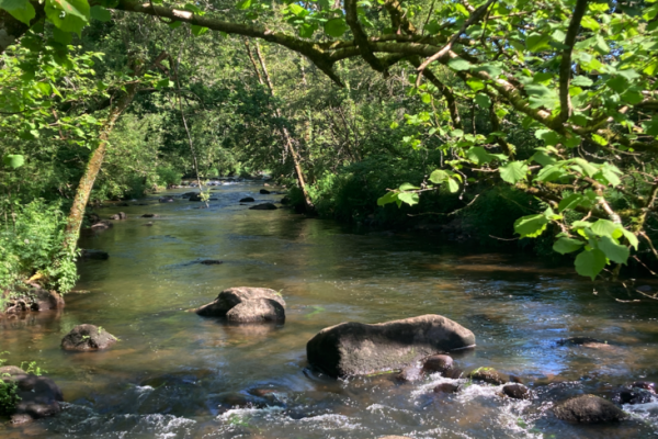 Prepararsi per una nuova stagione non � una cosa da fare alla leggera!