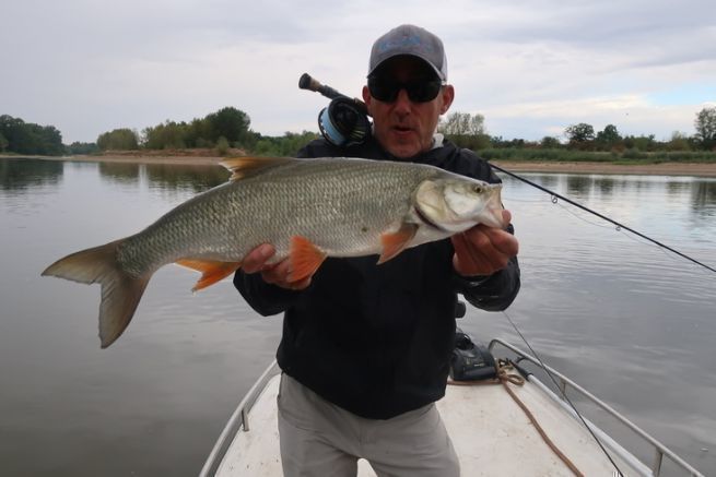La pesca a mosca dell'aspio è una vera sfida, ma ne vale la pena