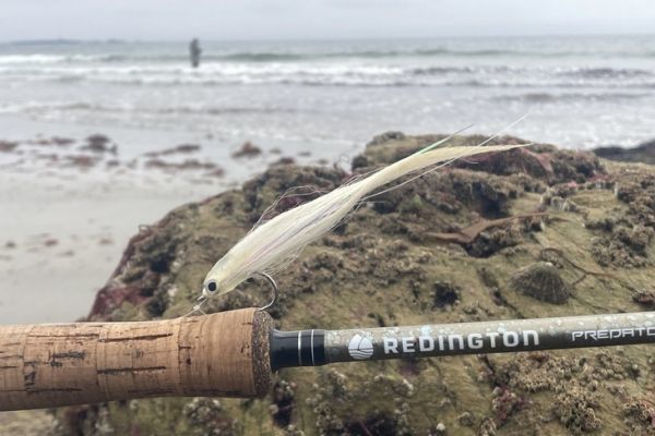 Le attrezzature per la pesca in spiaggia devono essere adattate alle condizioni attuali e alle prede