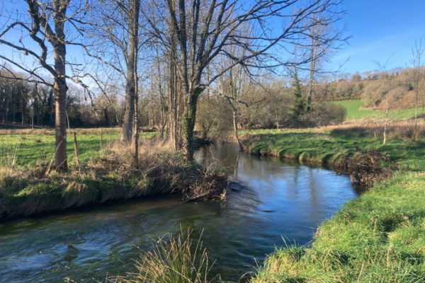 L'apertura e il ritorno al bordo dell'acqua sono un momento sacro!
