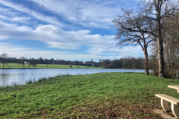 I bacini di Vitr� o Choiseli�re offrono un'ampia gamma di possibilit� di alimentazione delle trote in un'atmosfera amichevole