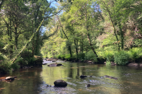 La pesca sul fiume  gi chiusa, ma questo non significa che la stagione sia finita!