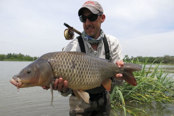 La pesca a vista della carpa pu essere emozionante quanto la pesca 
