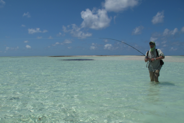 La pesca in mare caldo  molto coinvolgente.