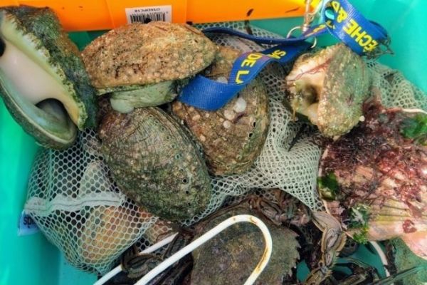 Pesca a piedi e alte maree