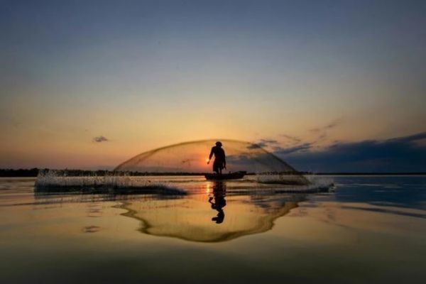 Pesca con gli sparvieri