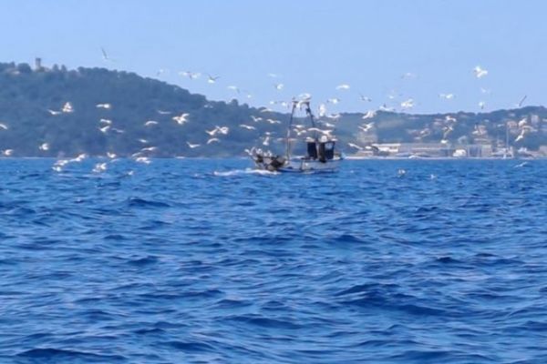 La pesca industriale detronizzata dall'acquacoltura