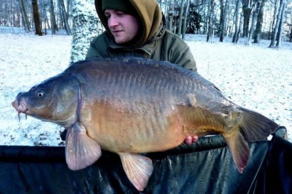 Pesca alla carpa in inverno