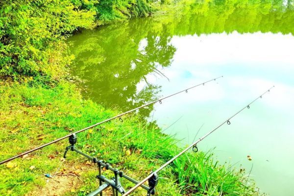 Laghi e fiumi ritrovano la calma