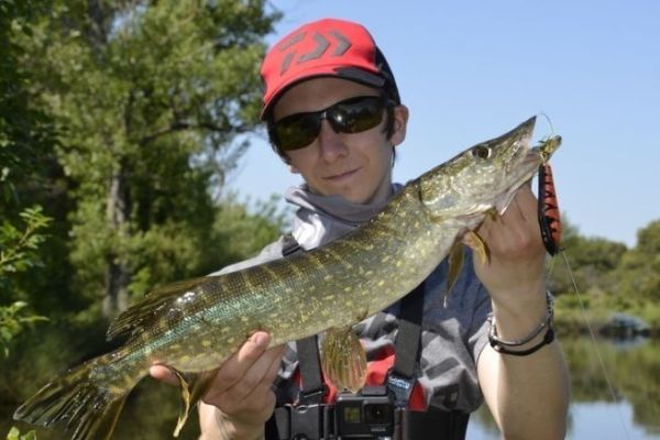 Attrezzatura per la pesca con esche artificiali