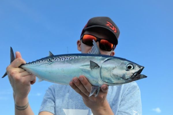 Pesca con esche artificiali in mare