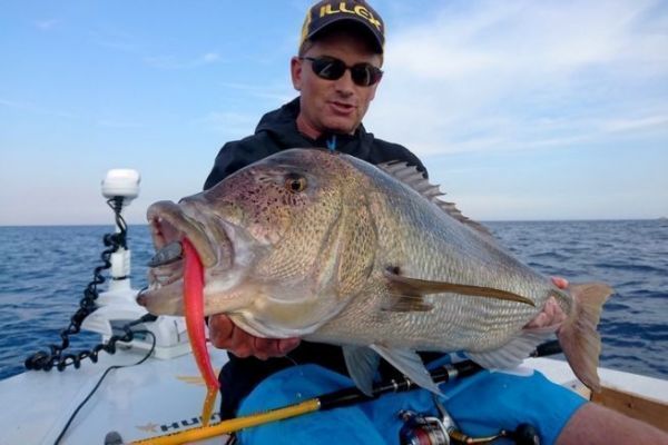 Pesca all'alosa per i denti