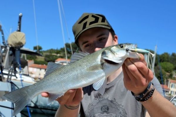 Pescare a settembre nel Mediterraneo