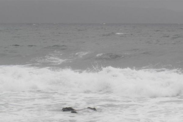 Pesca nella schiuma