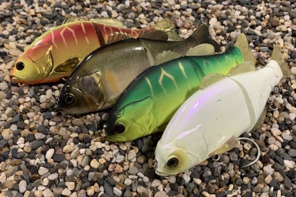 Il Gantarel d'Illex è tornato!