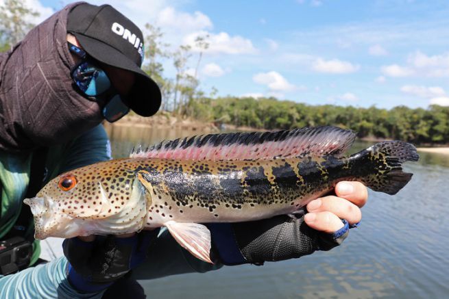 Mataguaro, rio Mataven, Colombia.
