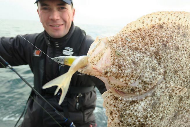 Rombo chiodato catturato con un'imitazione di cicerello