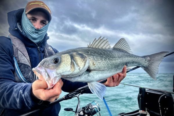 Grande esca, grande pesce?