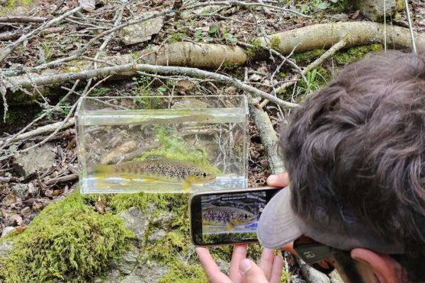 Utilizzare un nano acquario per la pesca