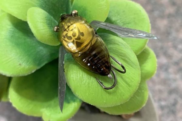 Il nano siglett misura 2,4 cm.