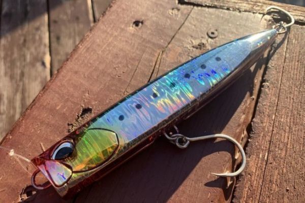 La Rough Trail Bubbly 185F è la misura perfetta.