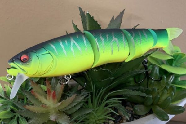 Lo Spine-X 190 F nuota a 4 diverse intensit�.