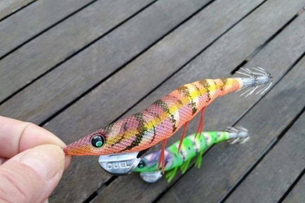 Sonaglio EZ-Q Dartmaster