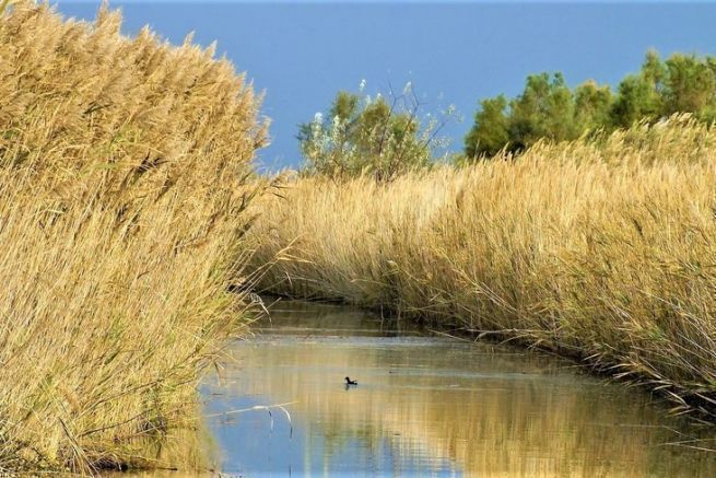 Le roubine, una rete ricca di pesce