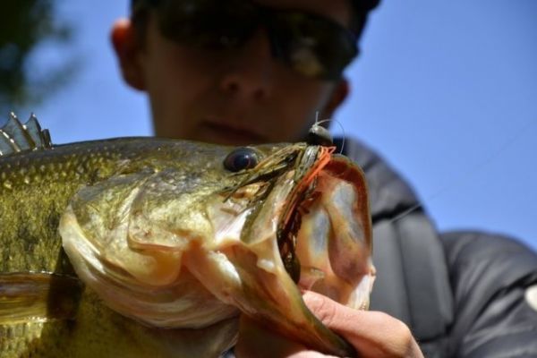 Un bel black bass pescato in inverno