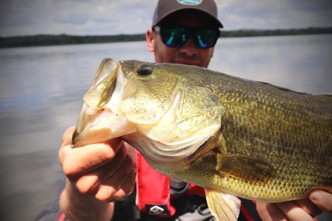 Nelle giornate di sole, cercate i black bass all'ombra.